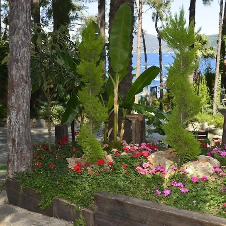 Grand Yazıcı Club Palace 4*